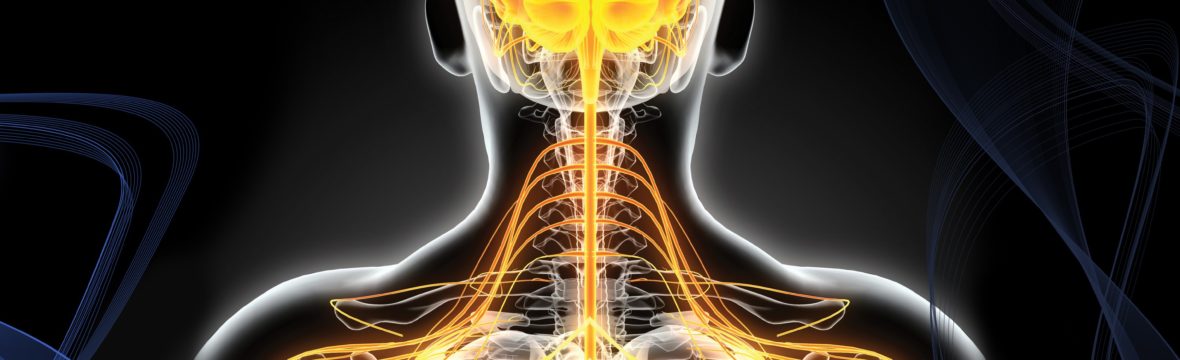 Pain in Back | What can a Neurosurgeon do for nerve damage?