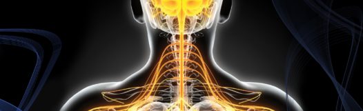 Neurosurgeons are trained to treat nerve pain in the back.