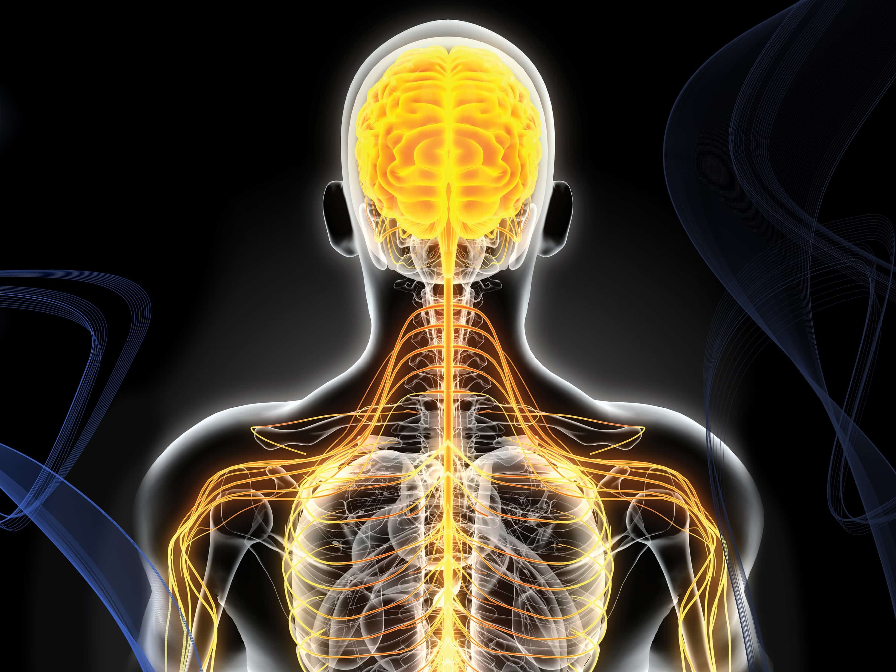 pain-in-back-what-can-a-neurosurgeon-do-for-nerve-damage