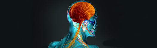 Functional Neurosurgery Blog Functional Neurosurgery